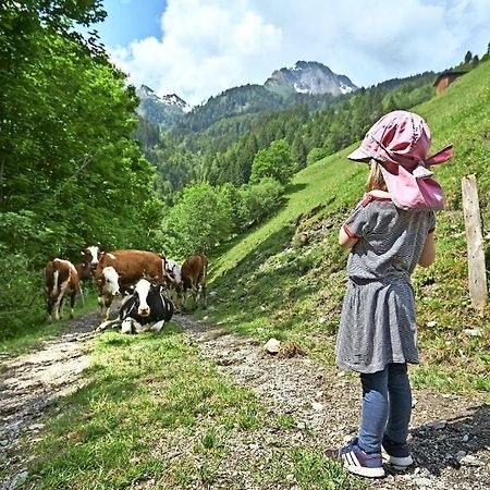Bed And Breakfast - Die Aelplersuit Fuer Backpackers Im Berghuesli Linthal المظهر الخارجي الصورة