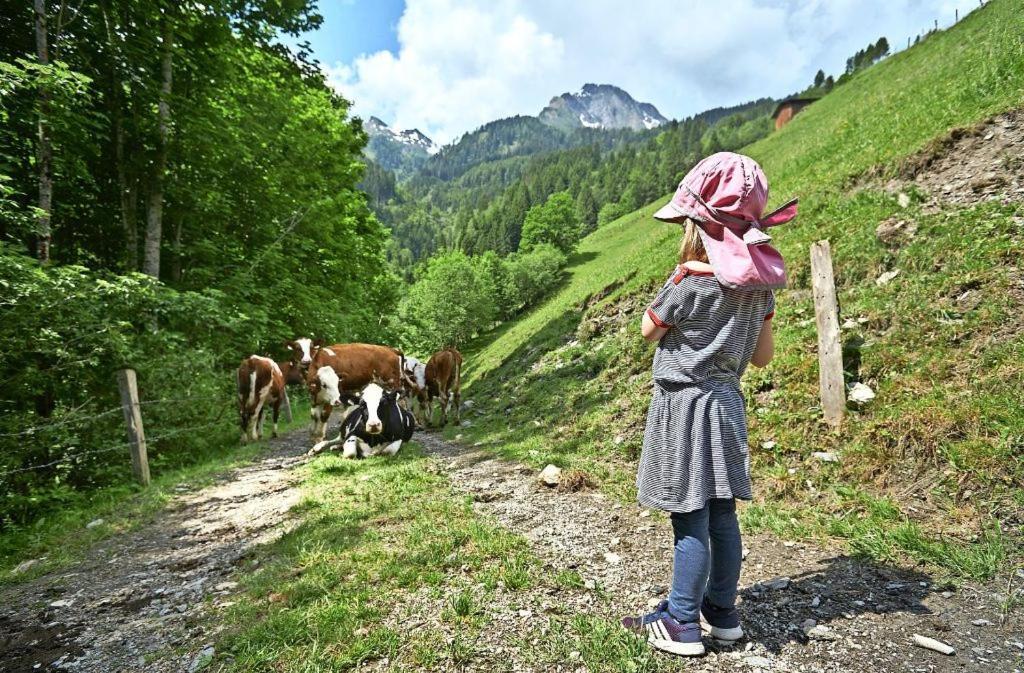 Bed And Breakfast - Die Aelplersuit Fuer Backpackers Im Berghuesli Linthal المظهر الخارجي الصورة