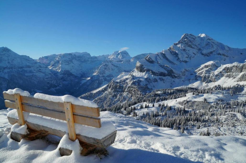 Bed And Breakfast - Die Aelplersuit Fuer Backpackers Im Berghuesli Linthal المظهر الخارجي الصورة