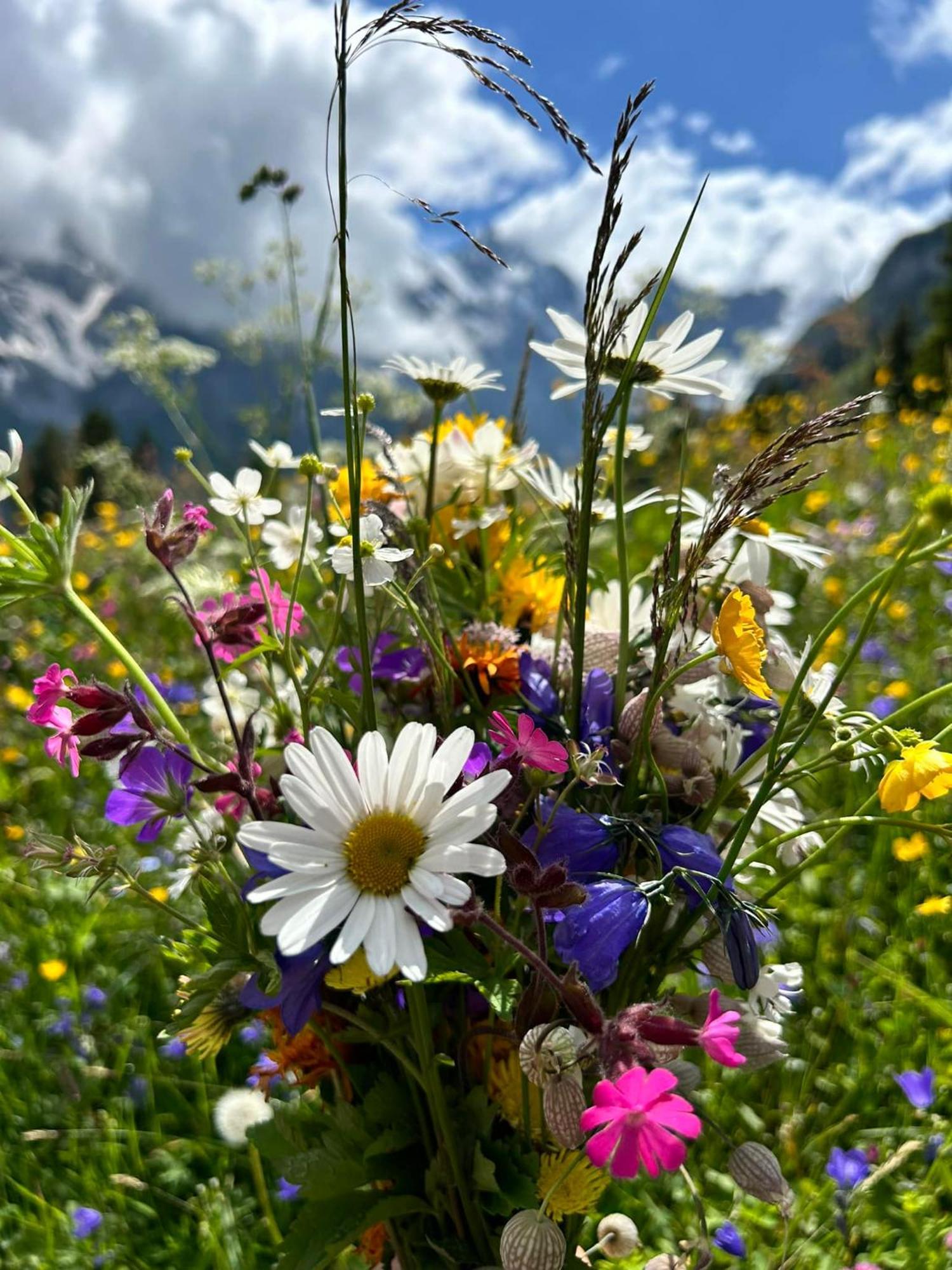 Bed And Breakfast - Die Aelplersuit Fuer Backpackers - Rucksacktouristen Im Berghuesli Linthal المظهر الخارجي الصورة