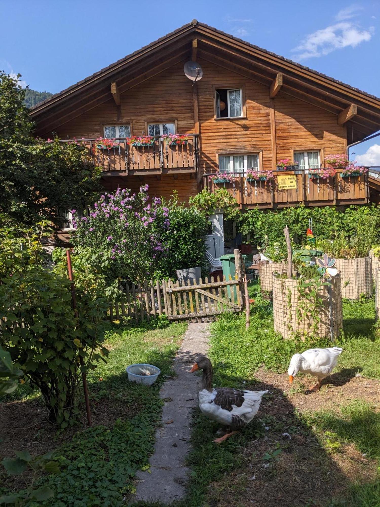 Bed And Breakfast - Die Aelplersuit Fuer Backpackers - Rucksacktouristen Im Berghuesli Linthal المظهر الخارجي الصورة