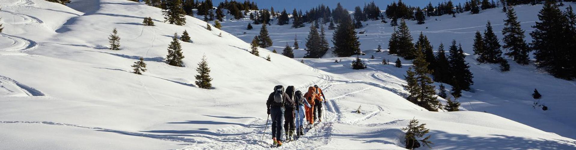 Bed And Breakfast - Die Aelplersuit Fuer Backpackers Im Berghuesli Linthal المظهر الخارجي الصورة