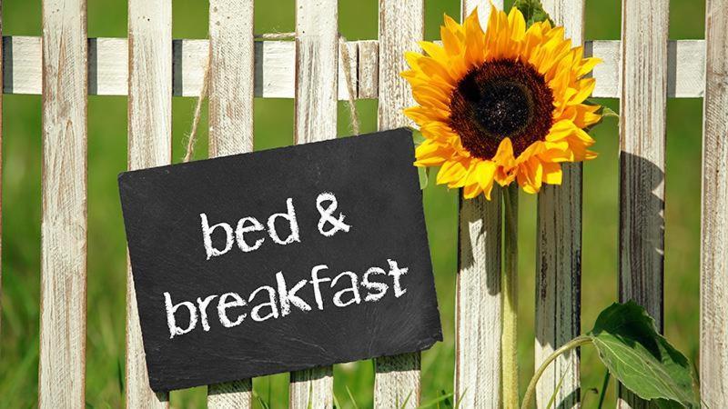 Bed And Breakfast - Die Aelplersuit Fuer Backpackers Im Berghuesli Linthal المظهر الخارجي الصورة